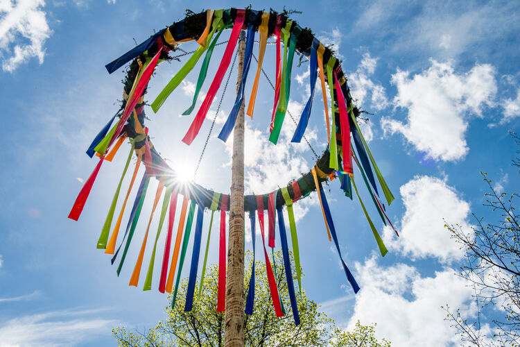 Maibaum