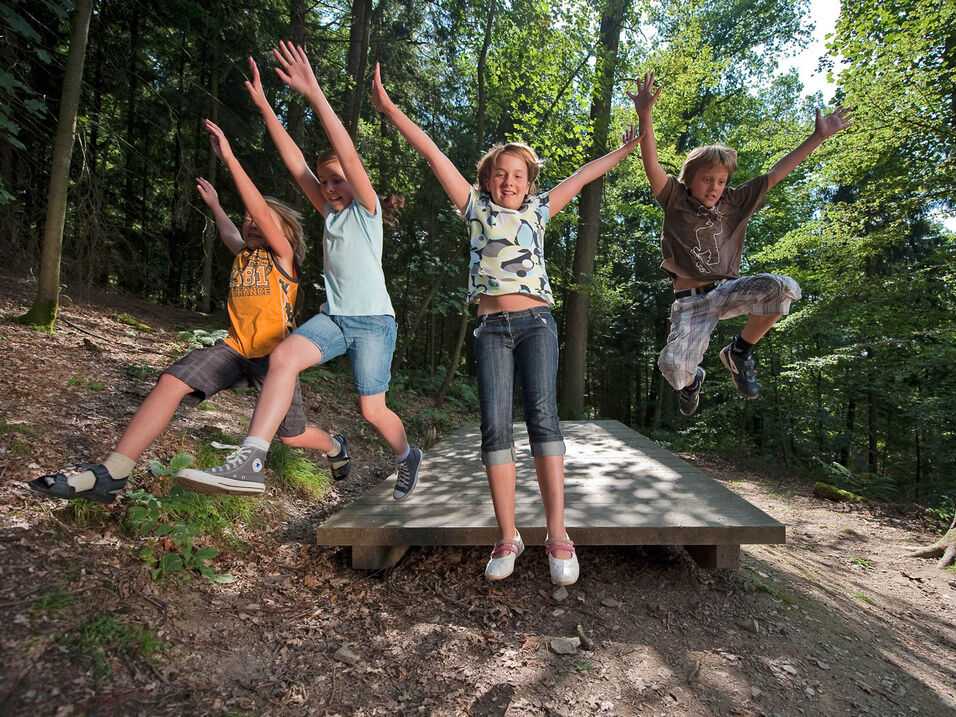 Kinder auf dem Walderlebnispfad bei Bad Fredeburg