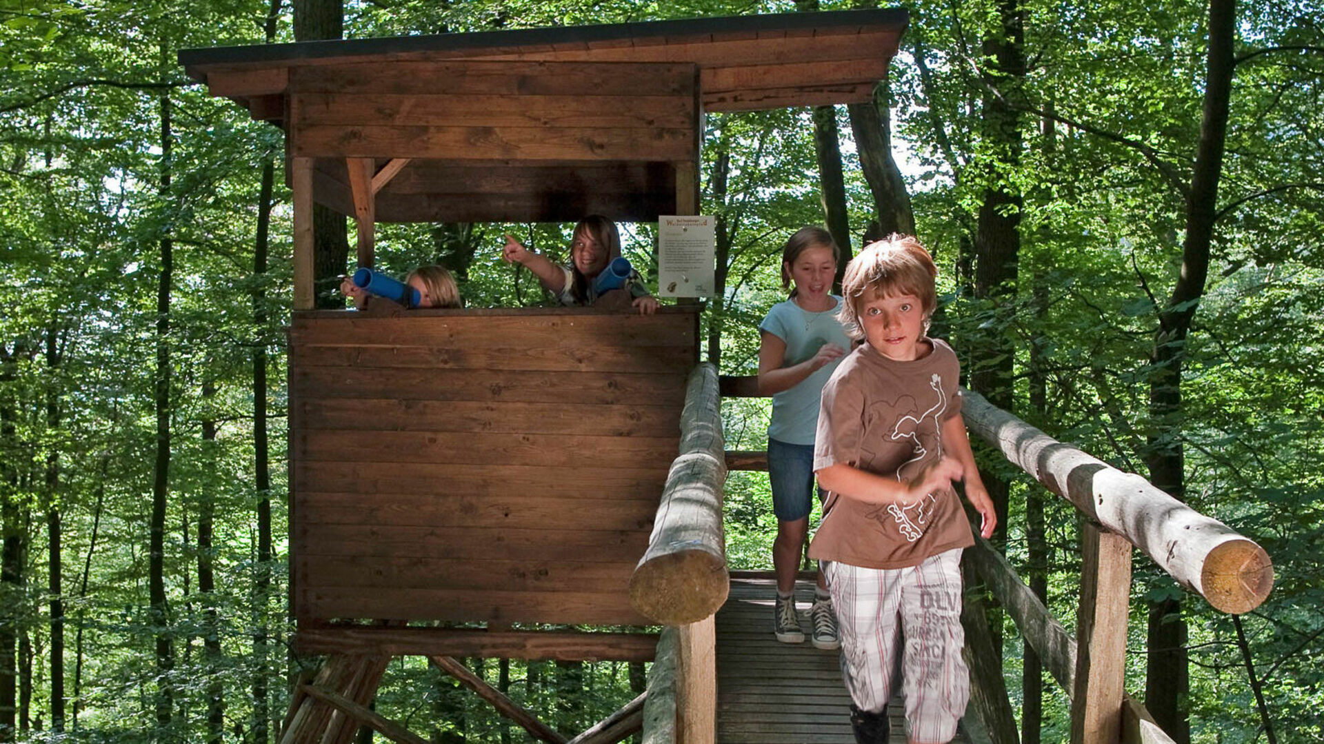 Kinder auf dem Walderlebnispfad in Bad Fredeburg im Sauerland