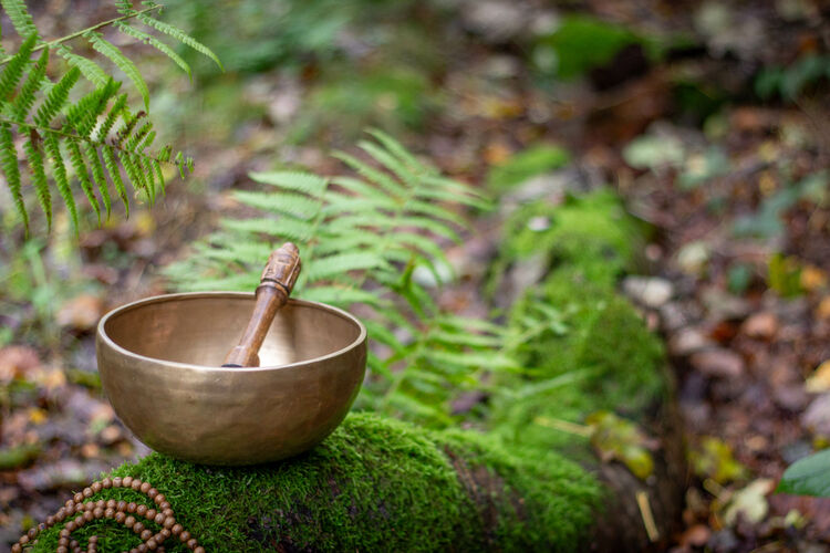 Klangschale im Wald