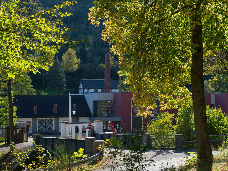 Blick auf das DampfLandLeute - Museum Eslohe